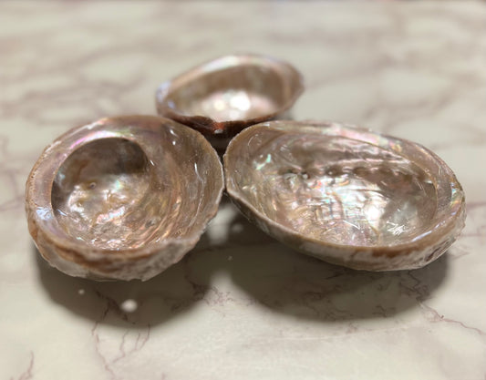 Large Smudging Abalone Shell